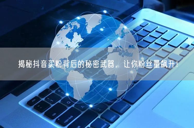 揭秘抖音买粉背后的秘密武器，让你粉丝量飙升！