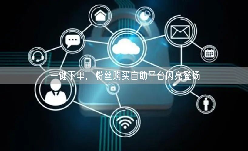 一键下单，粉丝购买自助平台闪亮登场