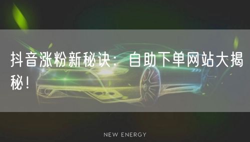 抖音涨粉新秘诀：自助下单网站大揭秘！