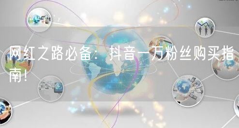 网红之路必备：抖音一万粉丝购买指南！