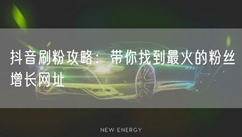 抖音刷粉攻略：带你找到最火的粉丝增长网址
