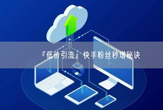 『低价引流』快手粉丝秒增秘诀