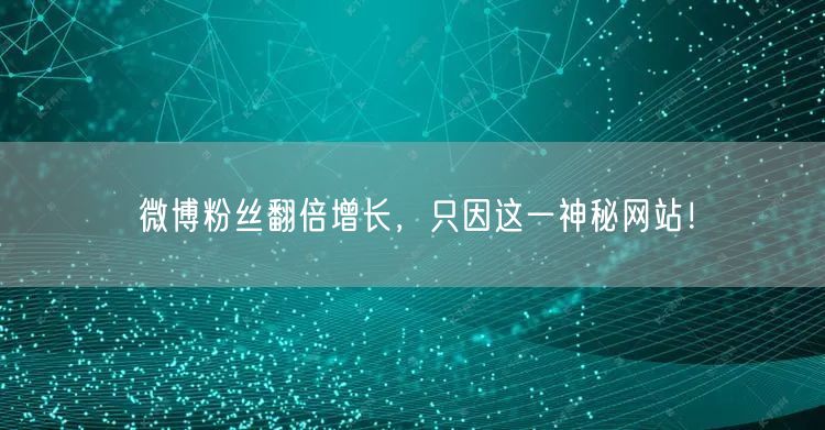 微博粉丝翻倍增长，只因这一神秘网站！