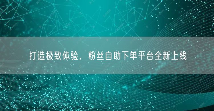 打造极致体验，粉丝自助下单平台全新上线