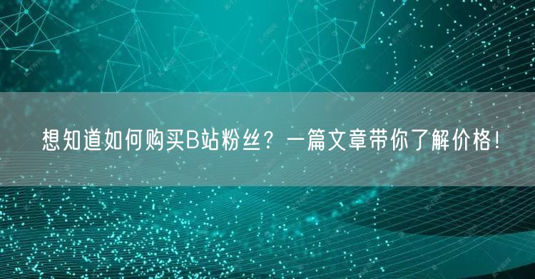 想知道如何购买B站粉丝？一篇文章带你了解价格！