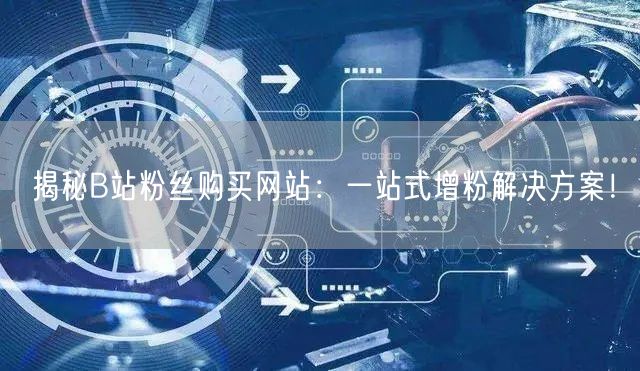 揭秘B站粉丝购买网站：一站式增粉解决方案！