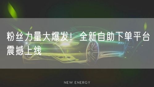 粉丝力量大爆发！全新自助下单平台震撼上线