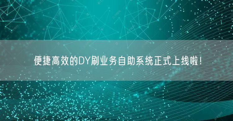 便捷高效的DY刷业务自助系统正式上线啦！