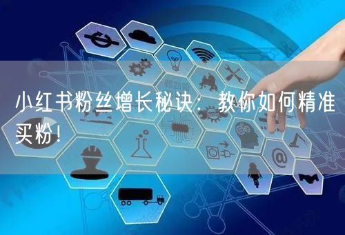 小红书粉丝增长秘诀：教你如何精准买粉！