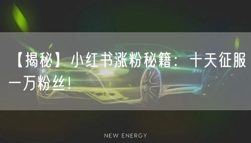 【揭秘】小红书涨粉秘籍：十天征服一万粉丝！