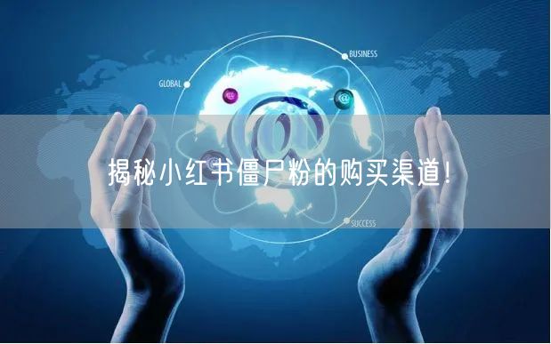 揭秘小红书僵尸粉的购买渠道！