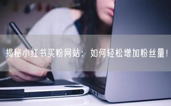 揭秘小红书买粉网站：如何轻松增加粉丝量！
