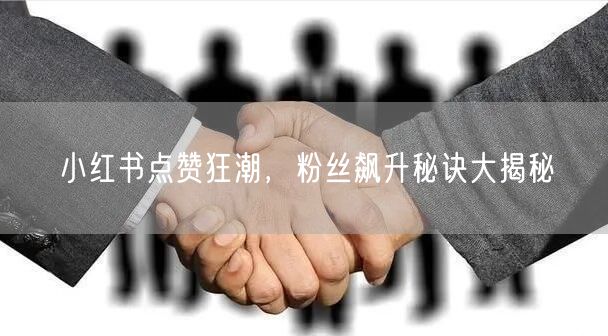 小红书点赞狂潮，粉丝飙升秘诀大揭秘