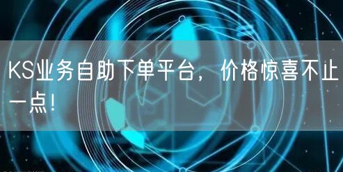 KS业务自助下单平台,价格惊喜不止一点!