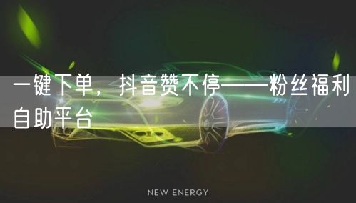 一键下单,抖音赞不停——粉丝福利自助平台