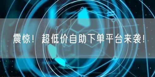 震惊!超低价自助下单平台来袭!