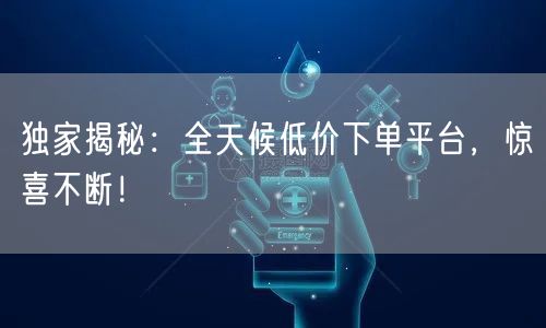 独家揭秘:全天候低价下单平台,惊喜不断!