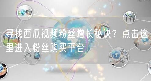 寻找西瓜视频粉丝增长秘诀?点击这里进入粉丝购买平台!