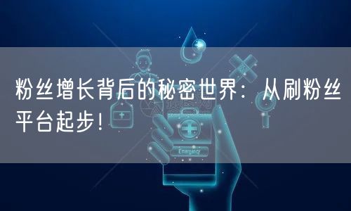 粉丝增长背后的秘密世界:从刷粉丝平台起步!